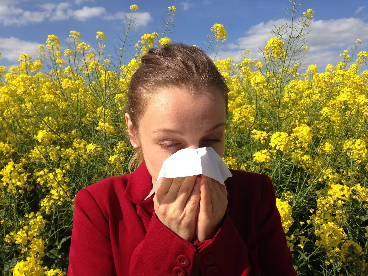 Read more about the article Summer Sniffles: Unveiling the Culprits Behind Seasonal Allergies